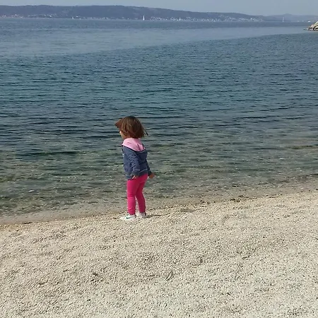 Dorina
